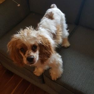 Meet your Posher, Marilyn